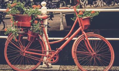 FlowerBox Bike