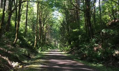 Snoqualmie Valley Trail