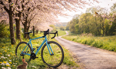 A blue road bicycle in a setting with spring elements