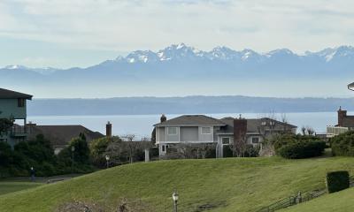 Picnic Point Neighborhood