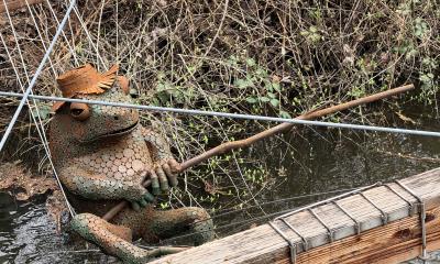 fishing frog