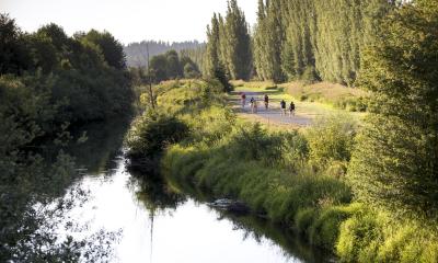 Sammamish River and Sammamish River trail