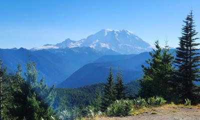 Mt Rainier from Suntop
