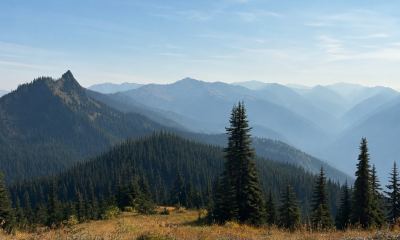 Hurricane Ridge -- Sept 8, 2024