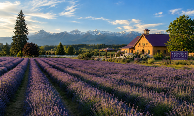 B&B Family Lavender Farm.