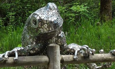 Frog Crossing