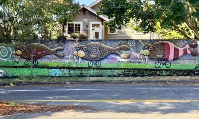 Walruses Cycling