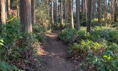 Saint Edwards Park